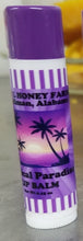 Load image into Gallery viewer, All Natural Homemade Lip Balm